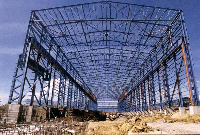 阜新船厂网架工程